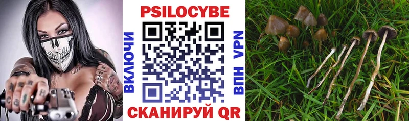Галлюциногенные грибы мухоморы  Купить где  Верхняя Пышма 